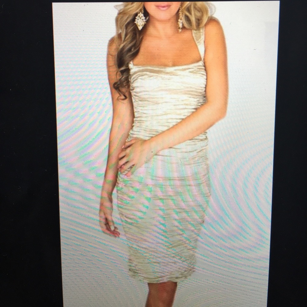 Nicole Miller Techno Metal Champagne Dress