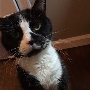 Meet your Posher, Jessica