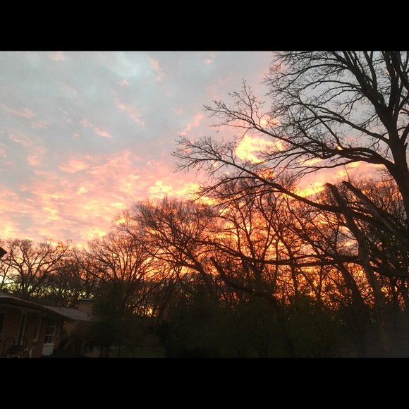 Meet your Posher, David - Picture 1 of 1