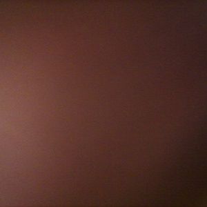 Meet your Posher, Judy