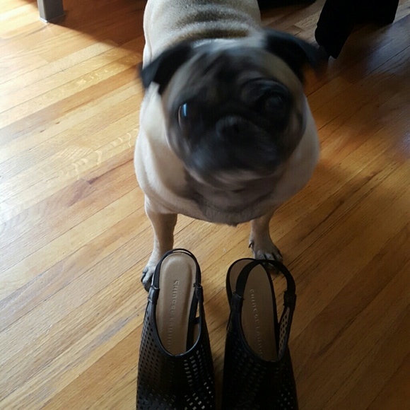 **SOLD**NEW NEVER WORN CHINESE LAUNDRY SHOES - Picture 2 of 8