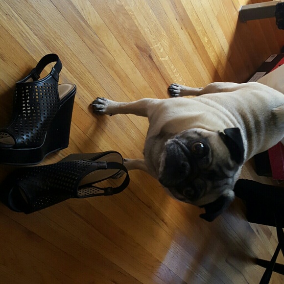 **SOLD**NEW NEVER WORN CHINESE LAUNDRY SHOES - Picture 3 of 8