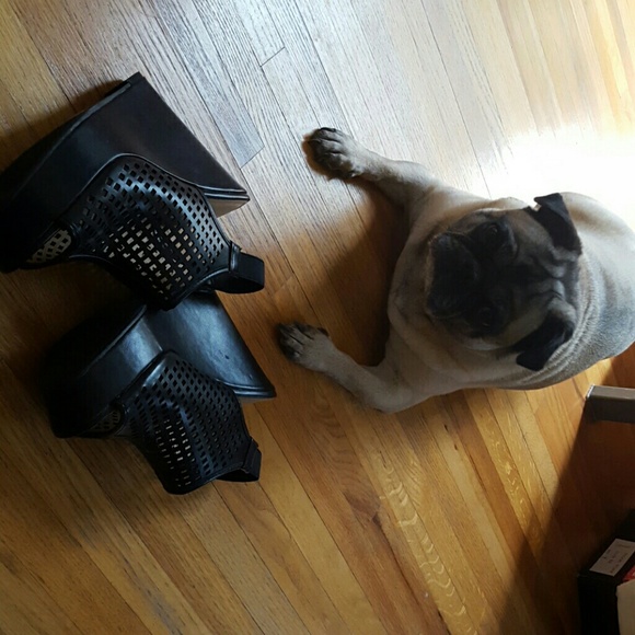 **SOLD**NEW NEVER WORN CHINESE LAUNDRY SHOES - Picture 7 of 8