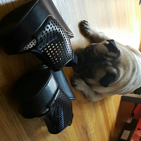 **SOLD**NEW NEVER WORN CHINESE LAUNDRY SHOES - Picture 8 of 8