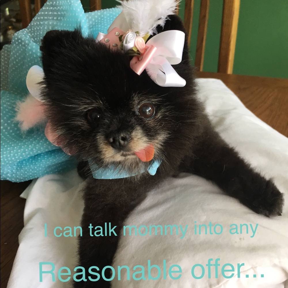 Will consider any reasonable offers