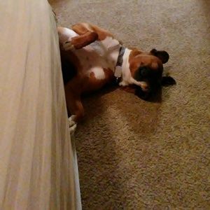 Meet your Posher, Tavy