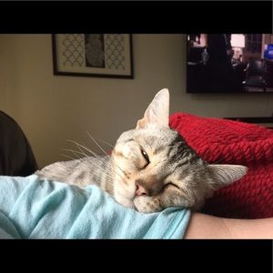 Meet your Posher, Donna