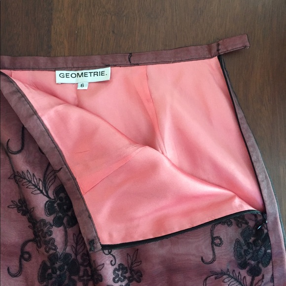 Geometrie Lace Skirt Lined in Pink - Picture 5 of 6