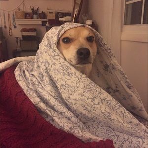 Meet your Posher, Catherine