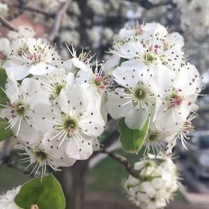 Meet your Posher, Janessa