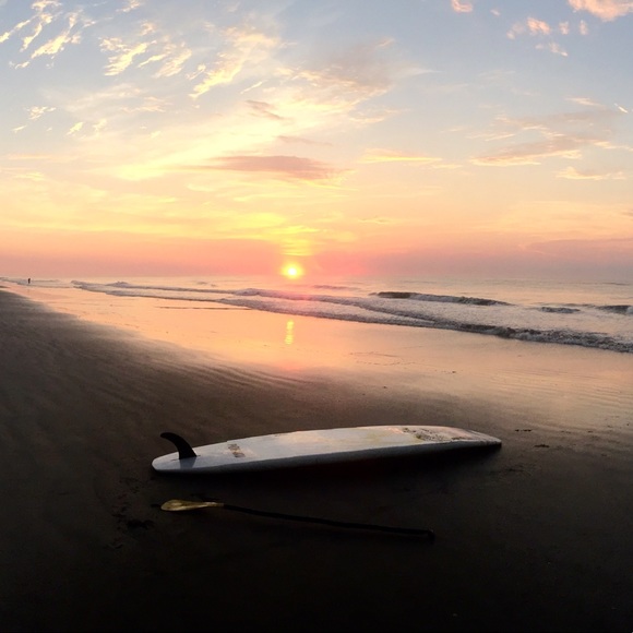 Meet your Posher, Andrew - Picture 1 of 1