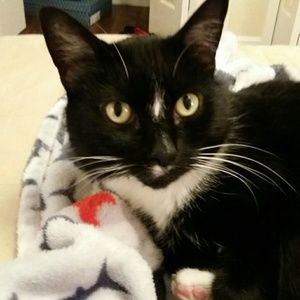 Meet your Posher, Pat