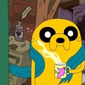 Meet your Posher, Gavin