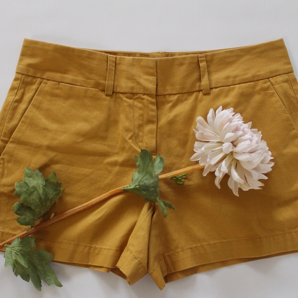Ann Taylor LOFT Shorts
