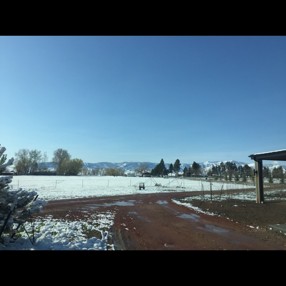 Meet your Posher, Anna