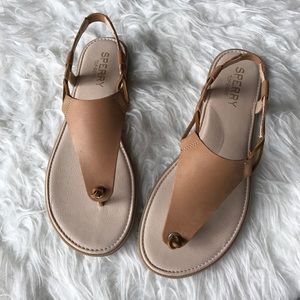 sperry calla jade sandal