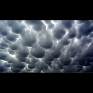 Meet your Posher, Sean