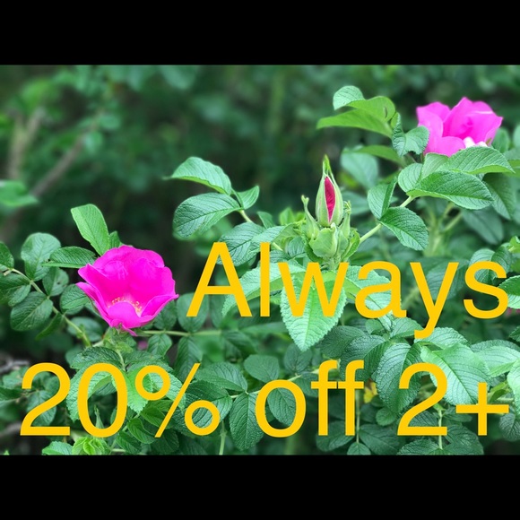 Meet your Posher, Debra - Picture 4 of 4