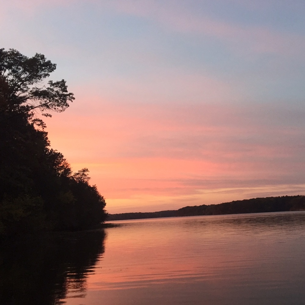 Meet your Posher, Shayla