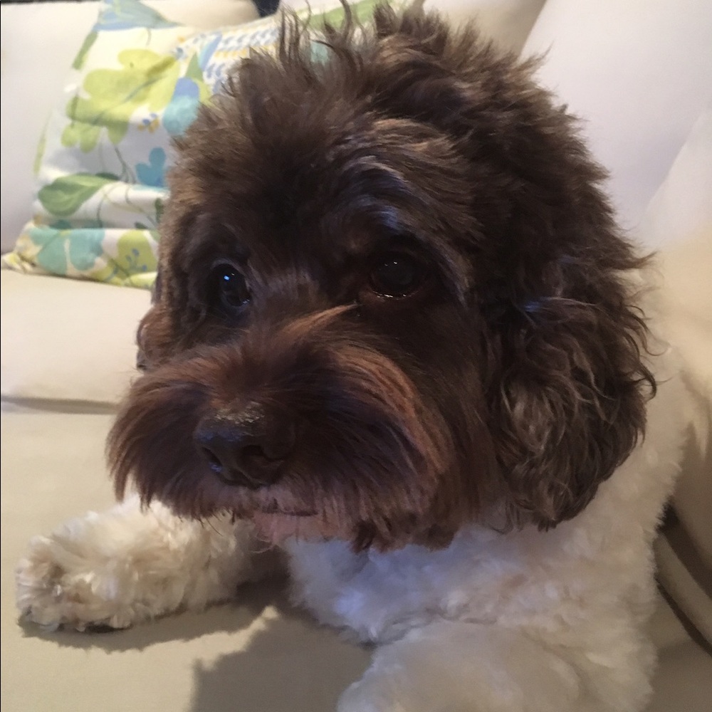 Meet your Posher, Mary grace