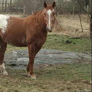 Meet your Posher, Cindy