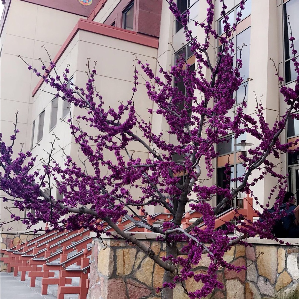 Meet your Posher, Mariana