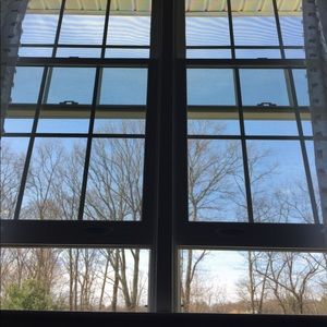 Meet your Posher, Dawn