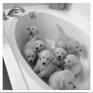 Meet your Posher, Kim