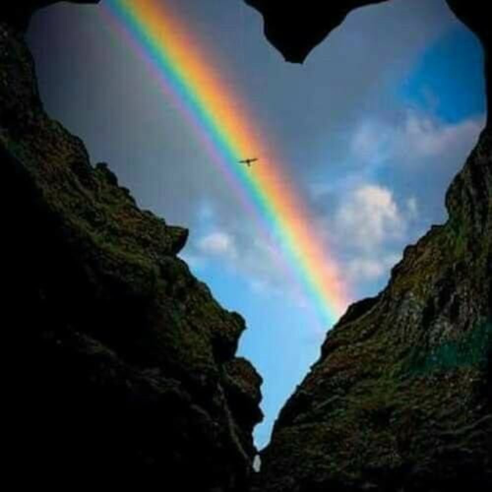 Like to shop for deals.