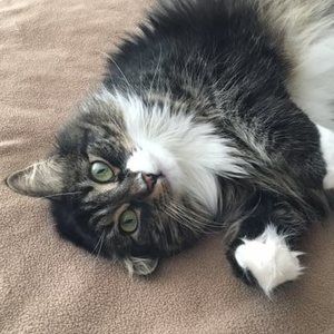 Meet your Posher, Donna