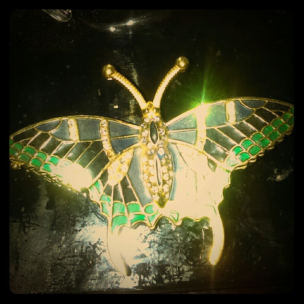 Small butterfly trinket box