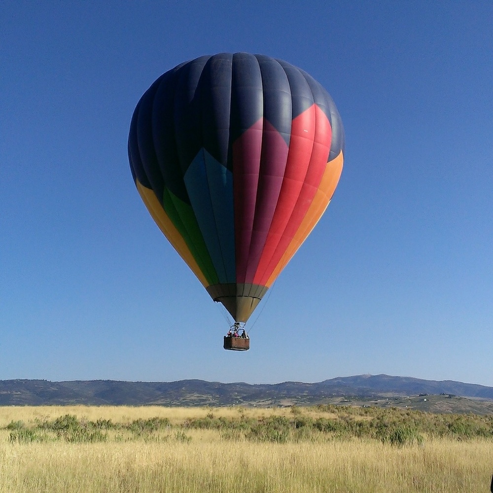 Meet your Posher, Chelsea