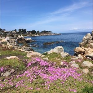 Meet your Posher, Condee