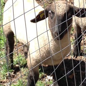 Meet your Posher, Christina