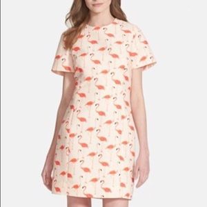Kate Spade flamingo dress!