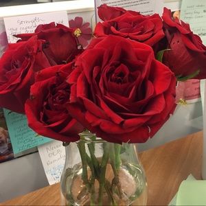 Meet your Posher, Jessie