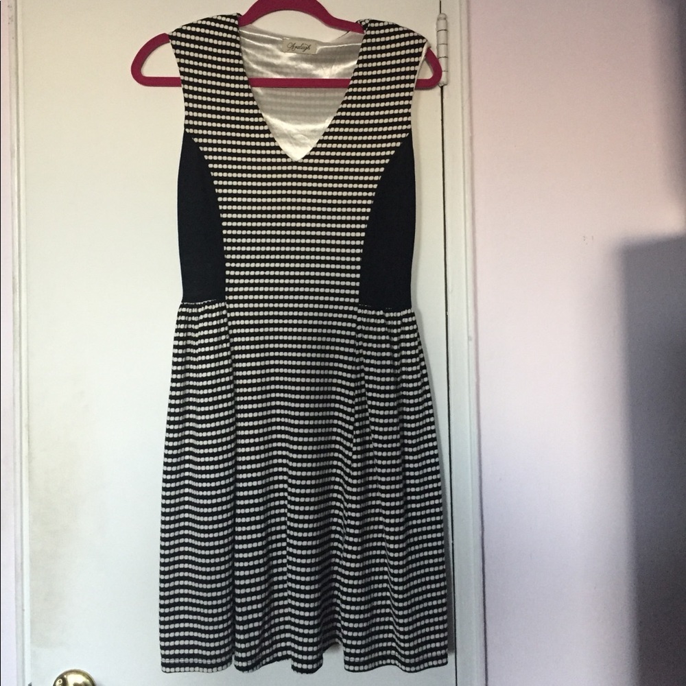 Avaleigh Fit and Flair Dress Black & White Retro