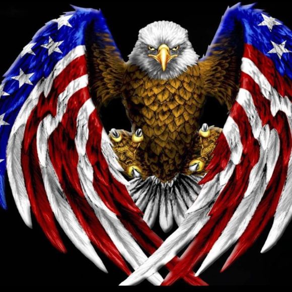 Meet your Posher, Raphael - Picture 1 of 1