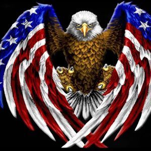 Meet your Posher, Raphael