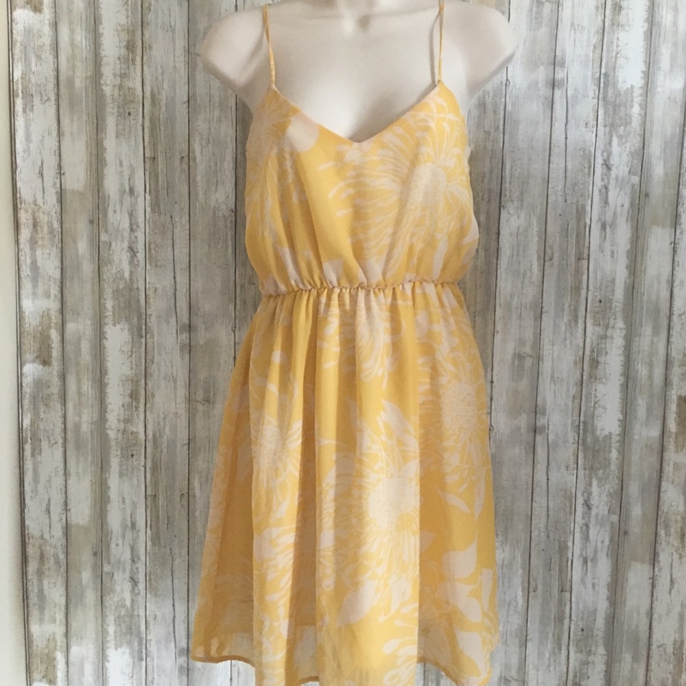 Everly Spring Tank Dress