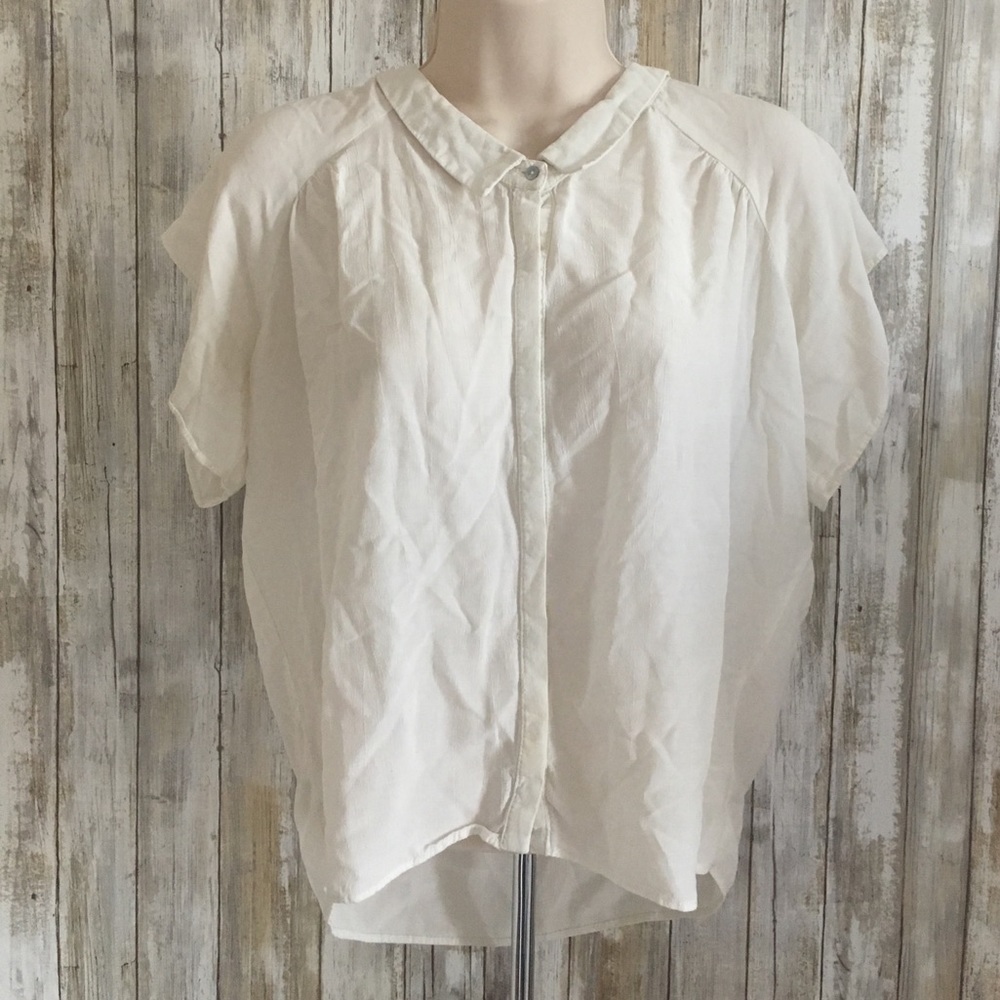 Vintage Chiffon Collared Blouse