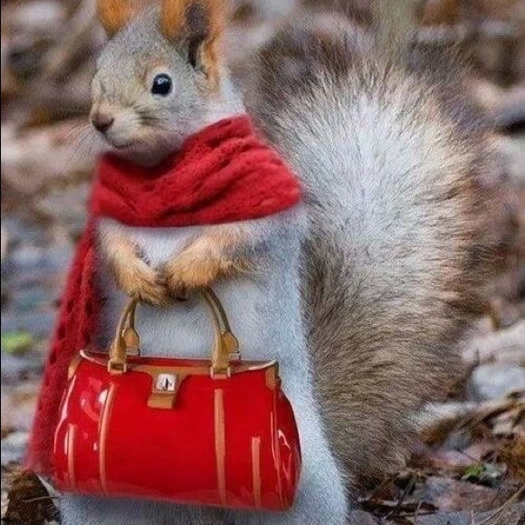 Meet your Posher, Jen - Picture 3 of 5