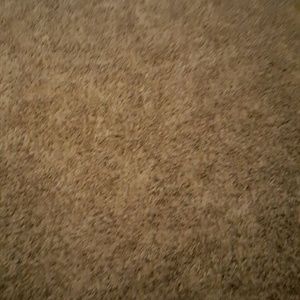 Meet your Posher, Brittney