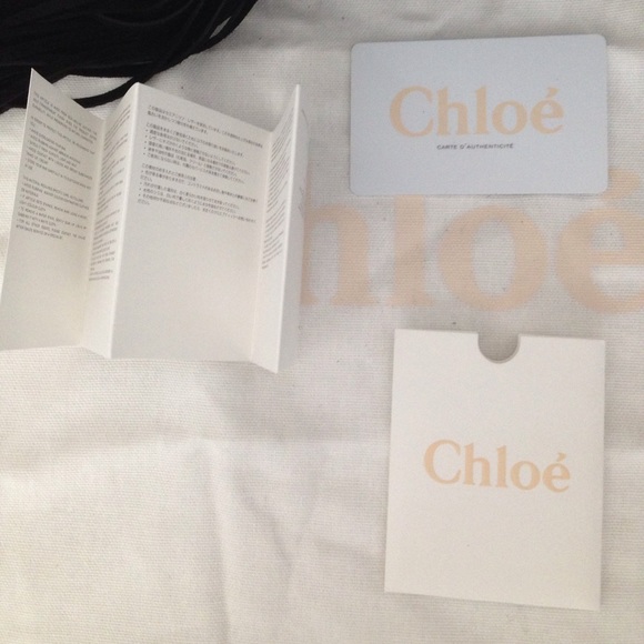 ***SOLD***Authentic NWT Chloe Hudson Med Leather - Picture 7 of 7