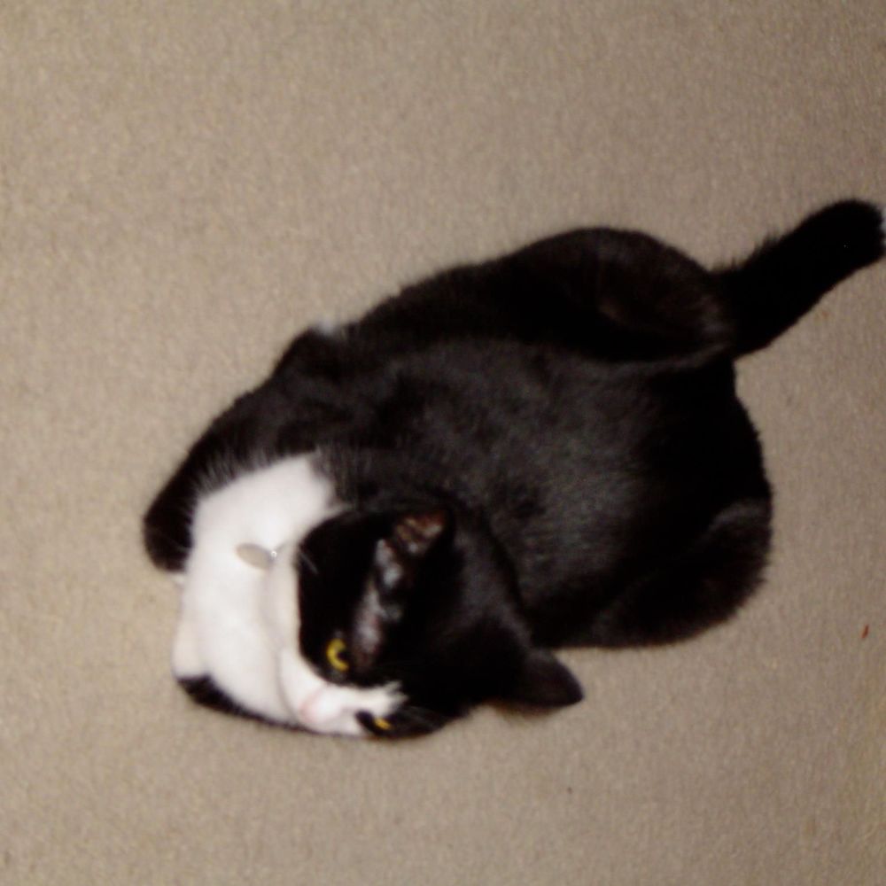 Meet your Posher, Shan