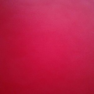 Meet your Posher, Tanya