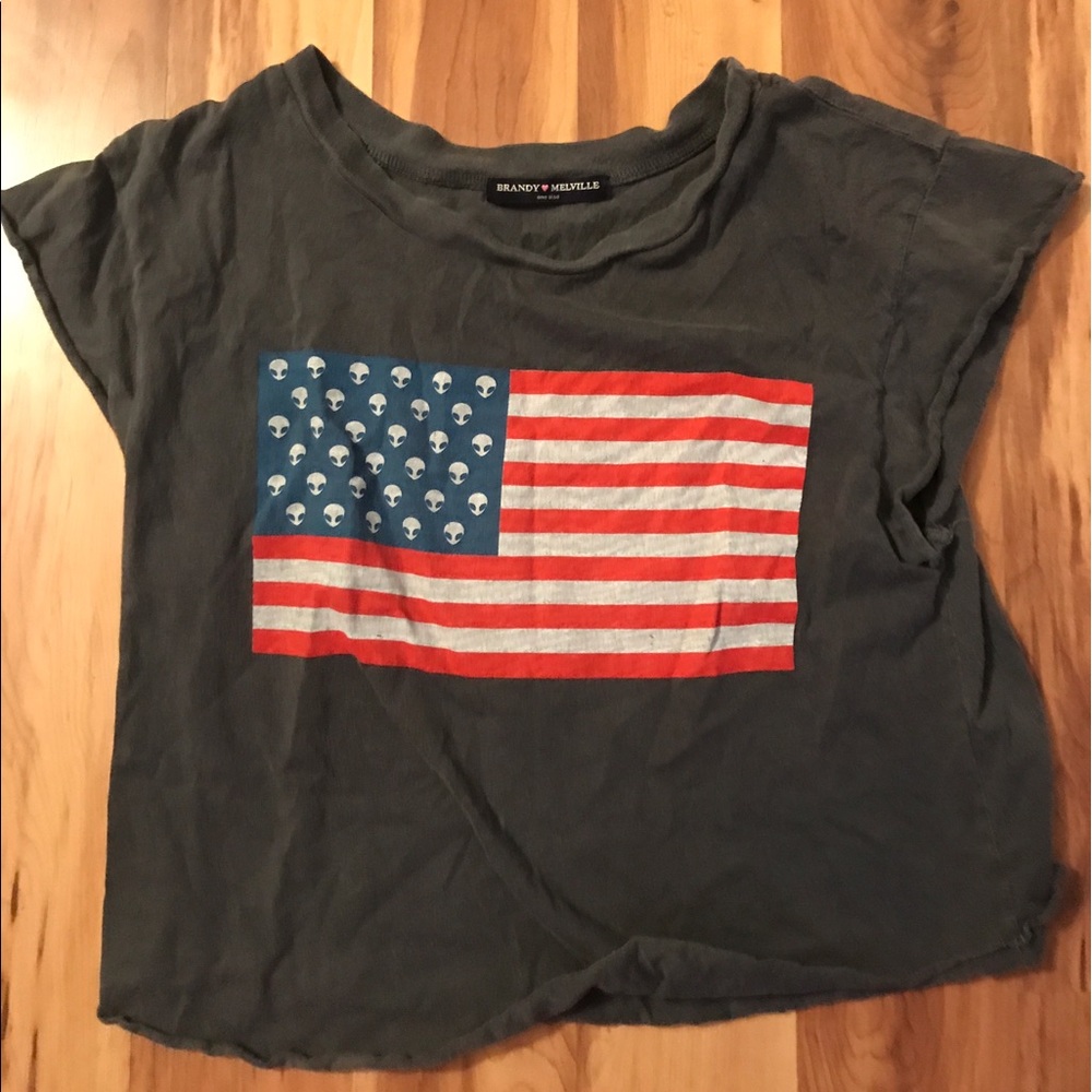 Brandy alien flag