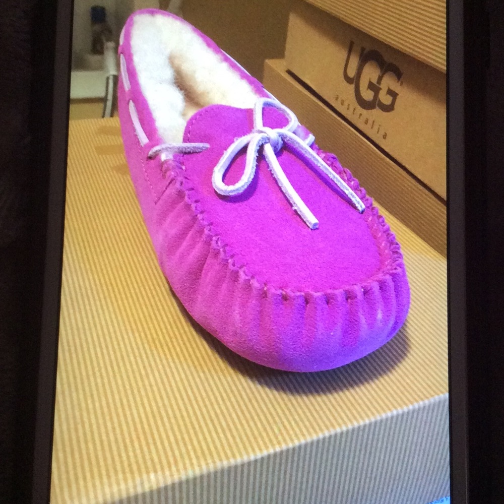 Brand new uggs