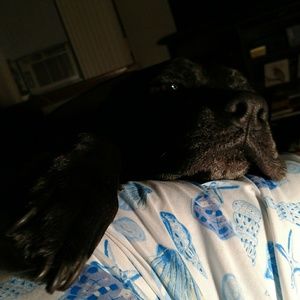 Meet your Posher, Jackie