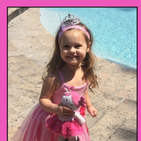 โArtieโ Our Beloved Pomeranian 5/24/07-2/24/18 - Picture 6 of 8